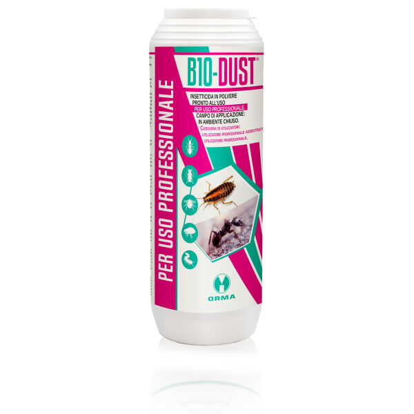 B 10 DUST Insetticida in polvere pronto all'uso 1 kg