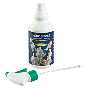 orma odor fresh